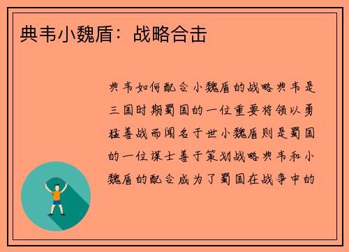 典韦小魏盾:战略合击